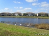 Mayfair Wellington FL - Beautiful Lake View